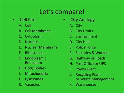 Cell City Analogy You'll Remember .